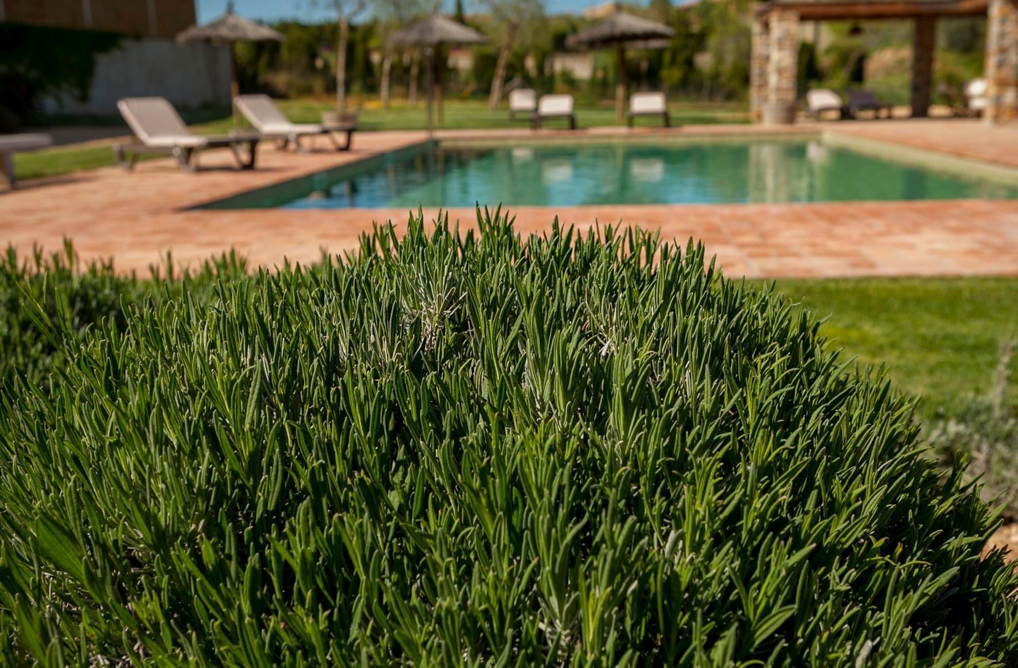 Mas Vermell Fontanilles Extérieur photo